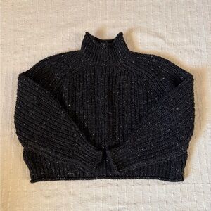 H&M Chunky Turtleneck Sweater